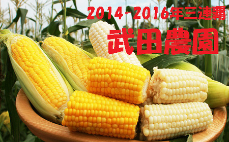 【2026年8月下旬以降順次発送】【うまコーン選手権優勝経験あり！】 とうもろこし（武田農園）約10本 | 野菜 とうもろこし トウモロコシ 旬の野菜 夏野菜 | 道の駅 真狩フラワーセンター[BPAM009]