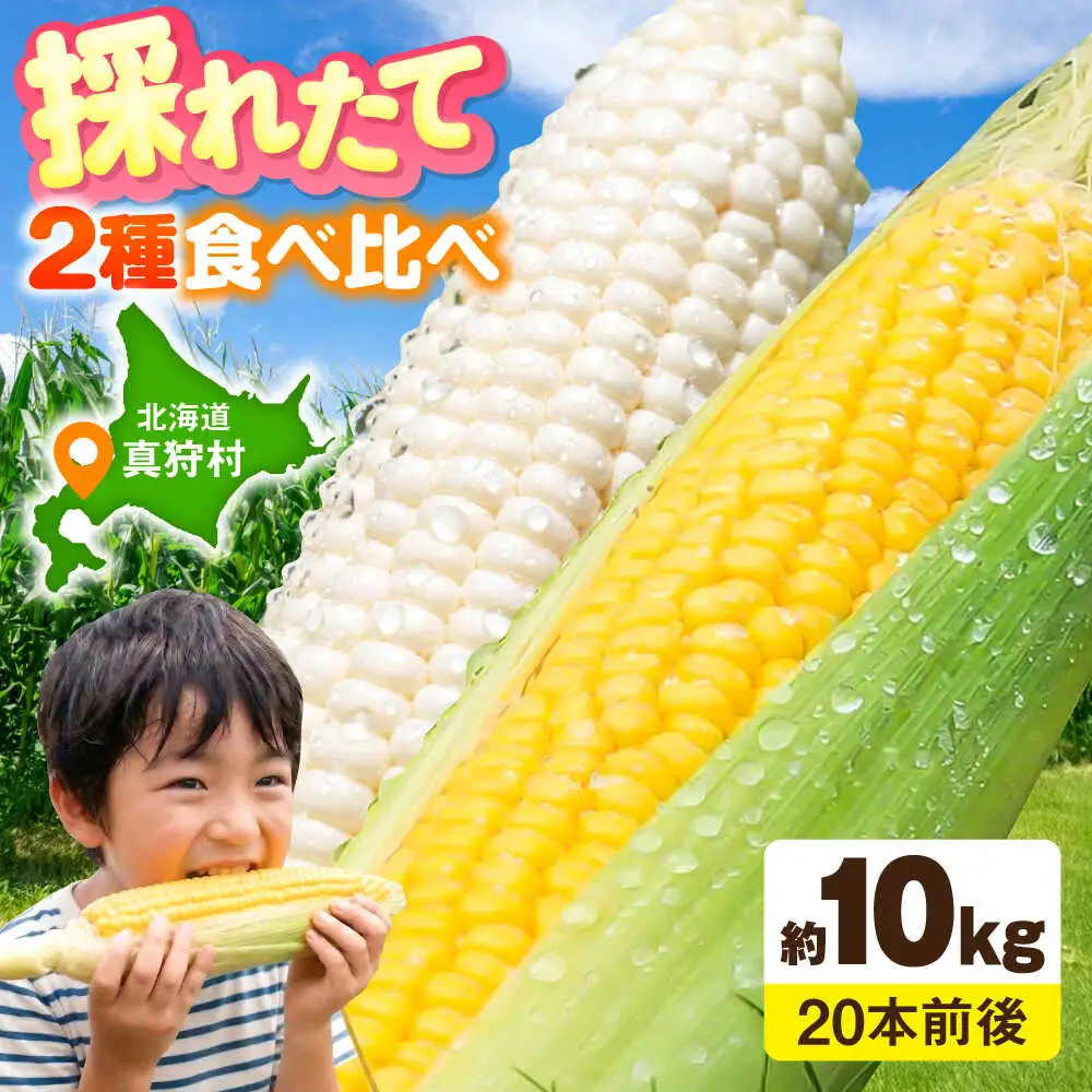 【先行予約】とうもろこし（白・黄） 各5kg [BPAM019] とうもろこし