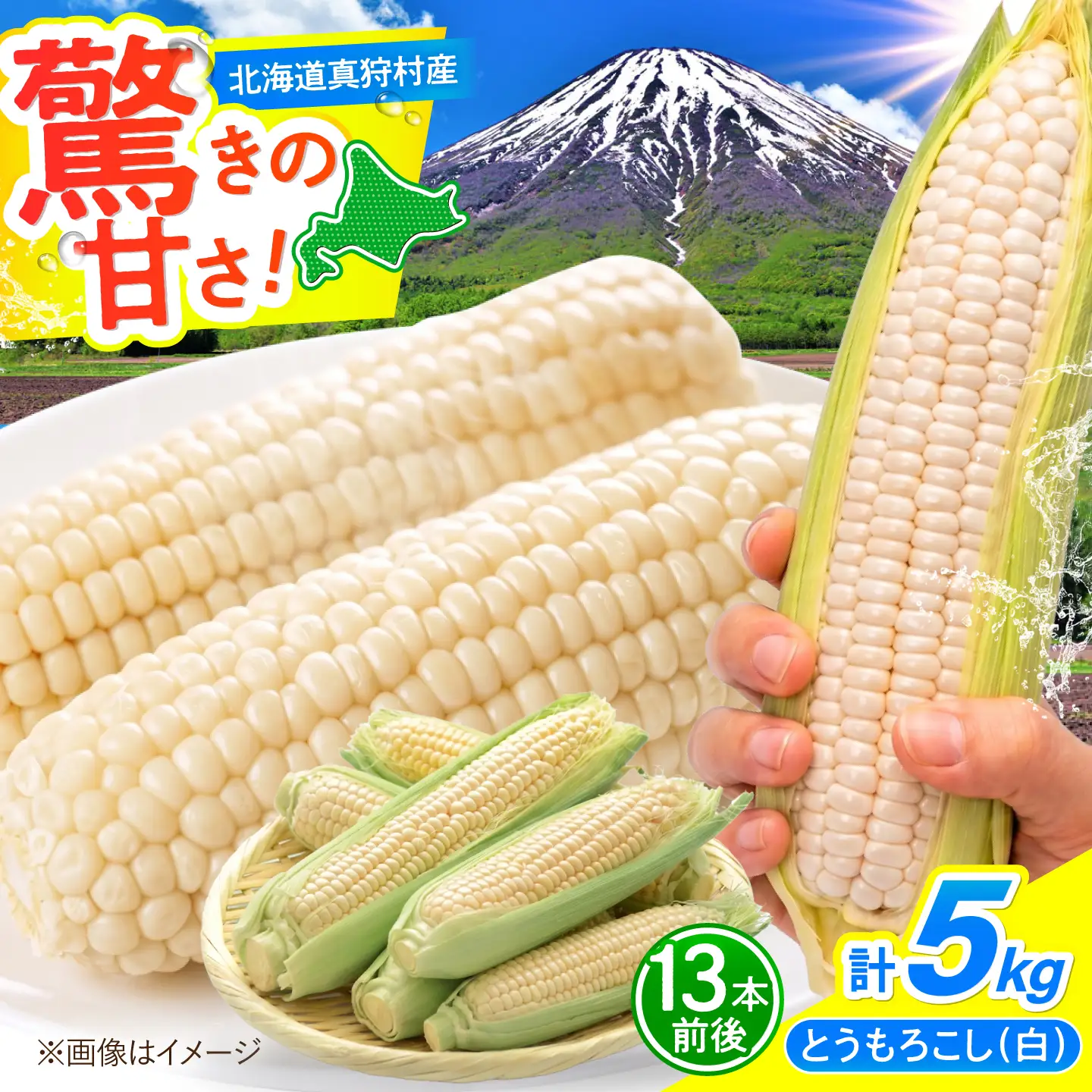 【先行予約】とうもろこし 白 5kg [BPAM021] とうもろこし