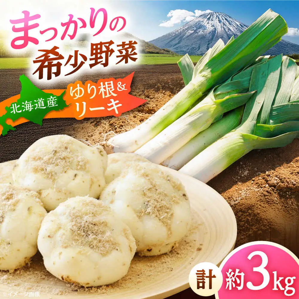 【2026年11月上旬以降順次発送】 ゆり根とリーキ  計3kg  |  ゆり根 リーキ 野菜 やさい 北海道 産地直送 |  道の駅 真狩フラワーセンター[BPAM022]