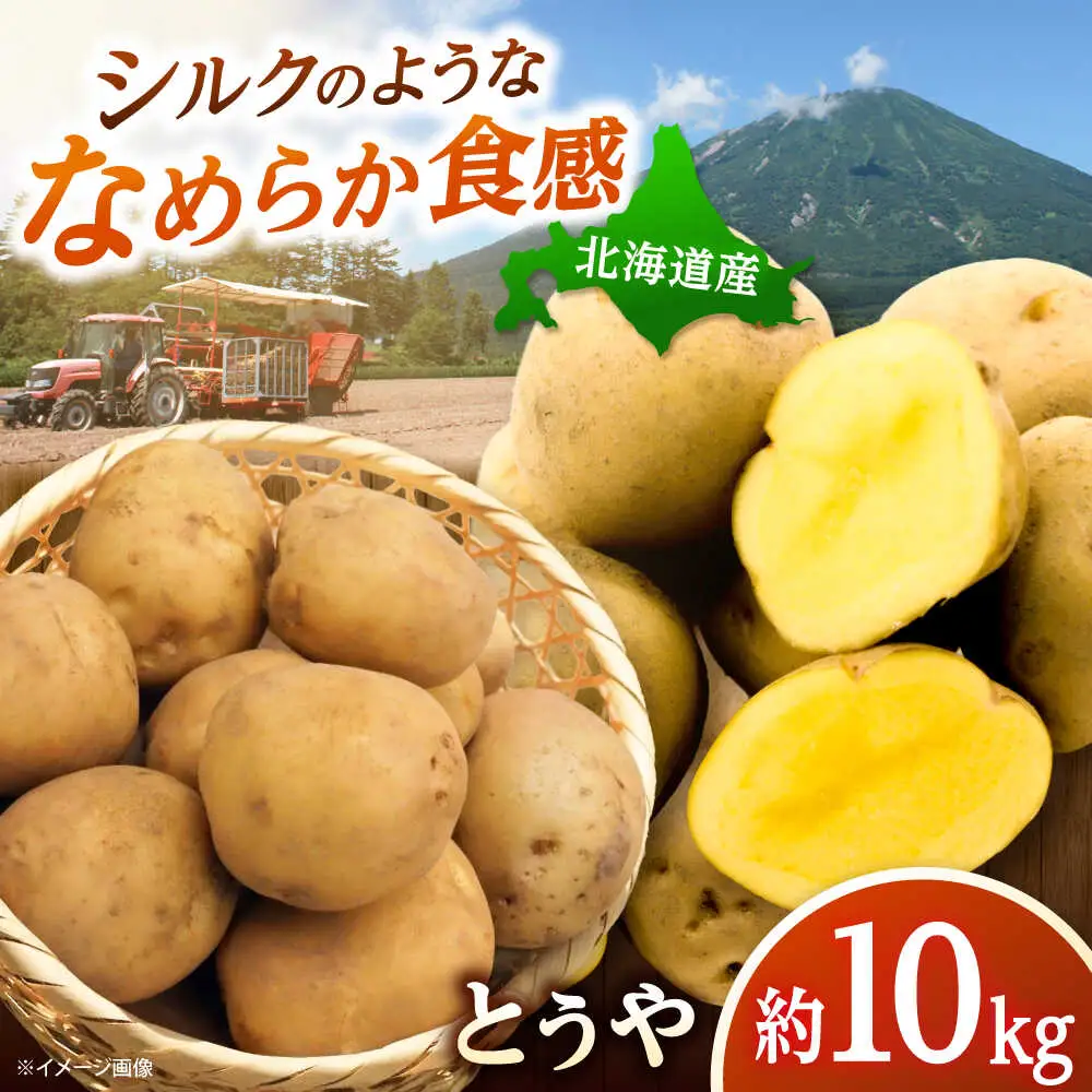 【先行予約】 じゃがいも とうや 10kg [BPAM023] じゃがいも 北海道