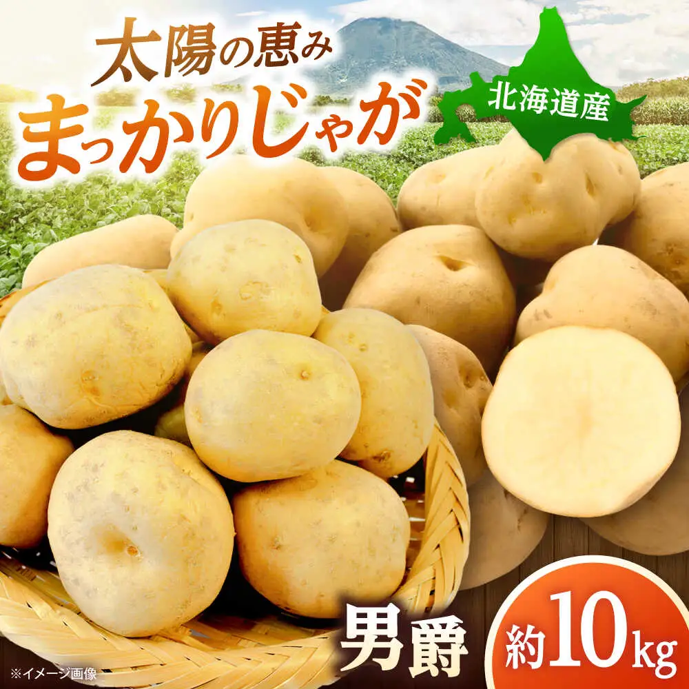 【先行予約】 じゃがいも 男爵 10kg [BPAM024] じゃがいも