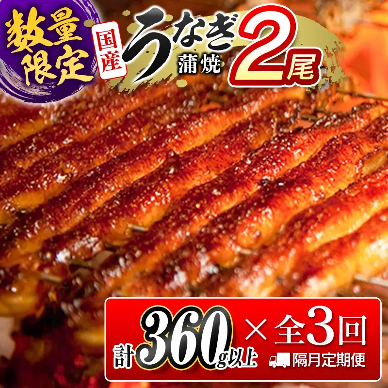 うなぎ蒲焼2尾 隔月定期便 全3回 計1kg 10月12月2月お届け E192-26-101202