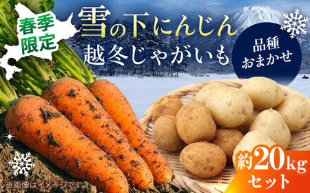 【先行予約】 雪の下にんじんと越冬じゃがいもセット 計20kg [BPAM031] 野菜セット