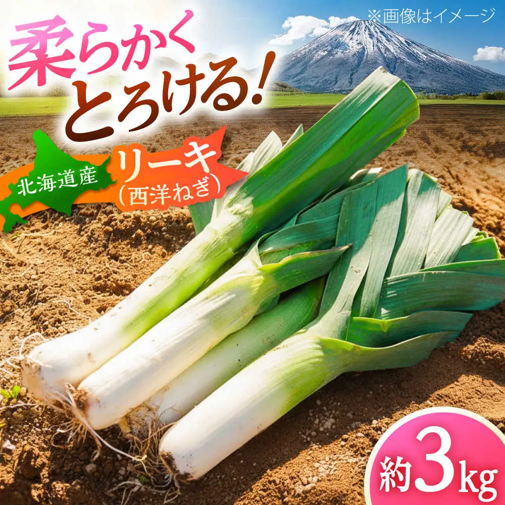 【2026年10月中旬以降順次発送】 リーキ 3kg | 野菜 ネギ ねぎ ポロネギ 西洋ねぎ リーキ | 道の駅 真狩フラワーセンター[BPAM045]