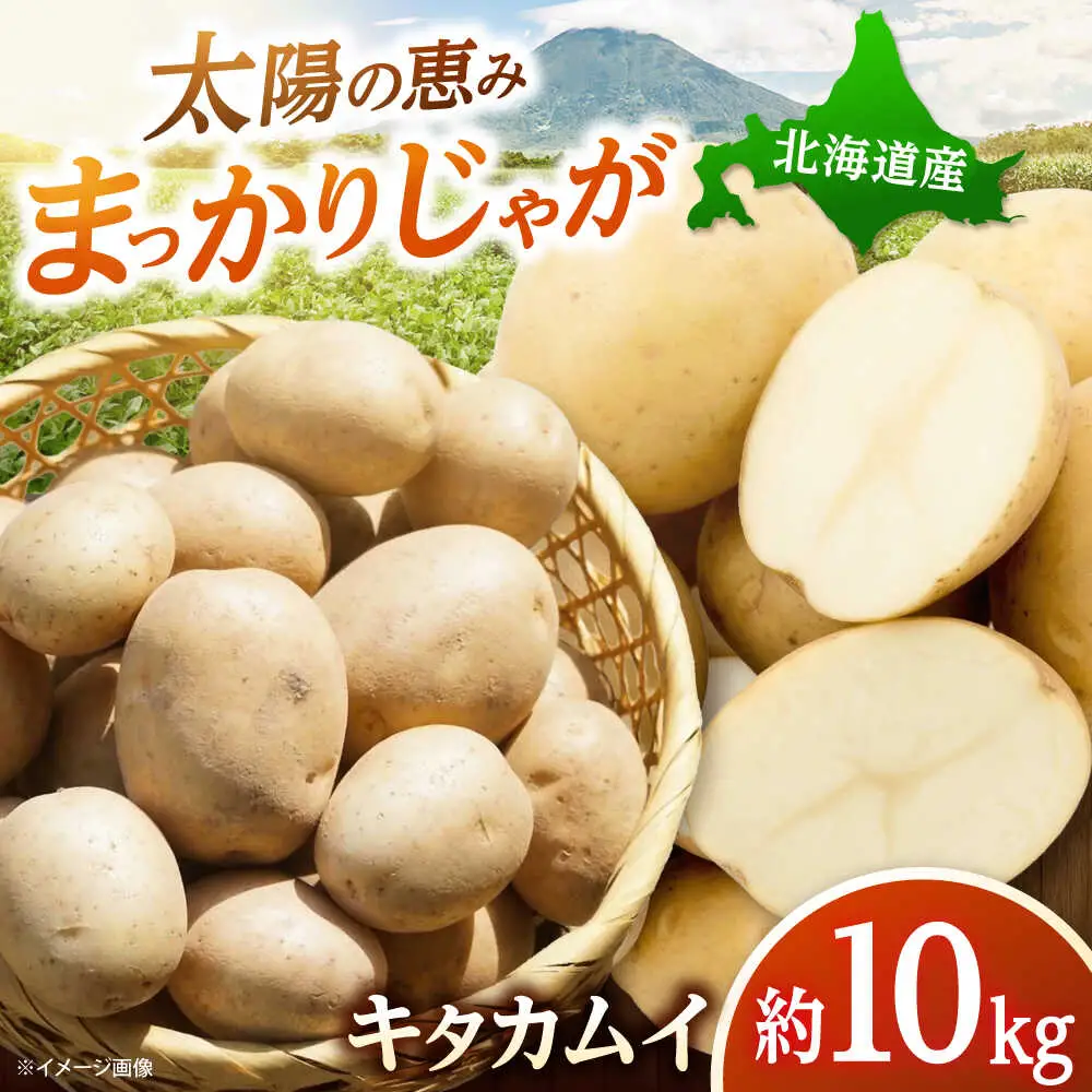 【先行予約】 じゃがいも キタカムイ 10kg [BPAM047] じゃがいも
