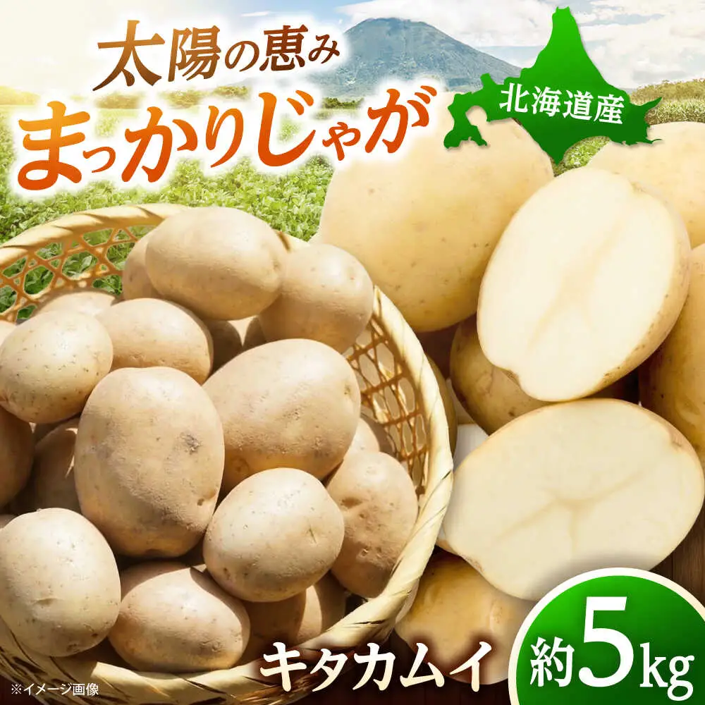 【先行予約】 じゃがいも キタカムイ 5kg [BPAM048] じゃがいも