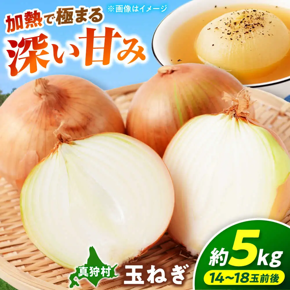 【先行予約】 玉ねぎ 5kg [BPAM079] 玉ねぎ 北海道