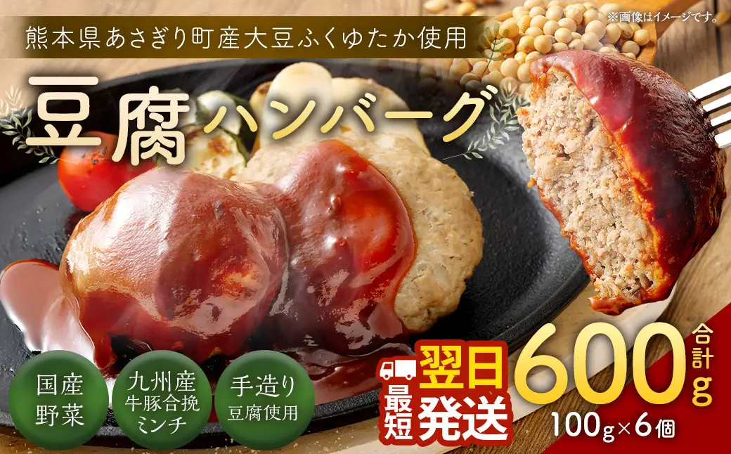 豆腐ハンバーグセット100g × 6個入 豆腐ハンバーグ 冷凍 電子レンジ対応 小分けで便利 ヘルシー 国産 ｜ 熊本県あさぎり町