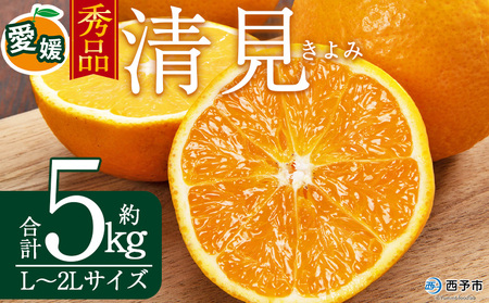 ＜秀品 清見 (L～2Lサイズ) 約5kg＞愛媛 蜜柑 ミカン みかん 果物 フルーツ 柑橘 国産 秀品 ギフト 贈答用 きよみ 贈り物 贈物 プレゼント 愛媛県産 西予市産 西宇和 特産品 丸二青果 愛媛県 西予市【常温】『2026年3月中旬から順次出荷予定』MMY0021