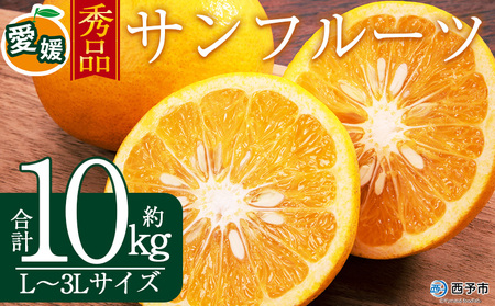 ＜秀品 サンフルーツ (L～3Lサイズ) 約10kg＞果汁 愛媛 蜜柑 ミカン みかん 果物 フルーツ 柑橘 国産 秀品 ギフト 贈答用 贈り物 贈物 プレゼント 愛媛県産 西予市産 西宇和 特産品 丸二青果 愛媛県 西予市【常温】『2026年3月上旬から順次出荷予定』MMY0025
