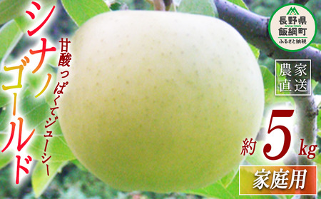 りんご シナノゴールド 家庭用 5kg ヤマウラ農園 沖縄県への配送不可 2026年11月上旬頃から2026年11月中旬頃まで順次発送予定 令和8年度収穫分 信州 果物 フルーツ リンゴ 林檎 長野 予約 農家直送 長野県 飯綱町 [1584]
