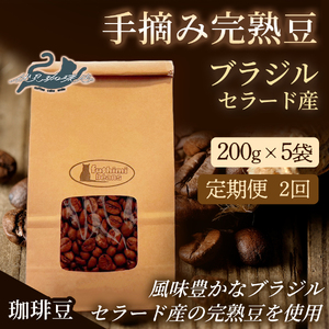 No.3286【2回定期便】珈琲 手摘み完熟豆 ブラジル・セラード産 【豆】中煎り 200g×5袋