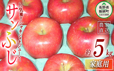 りんご サンふじ 家庭用 5kg ヤマウラ農園 沖縄県への配送不可 2026年11月下旬頃から2026年12月上旬頃まで順次発送予定 令和8年度収穫分 信州 果物 フルーツ リンゴ 林檎 長野 予約 農家直送 長野県 飯綱町 [1587]