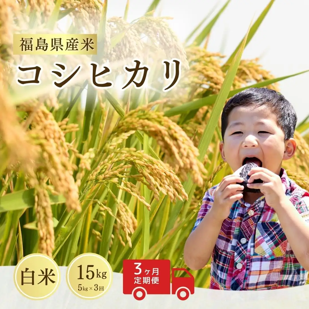 【定期便】コシヒカリ 白米 15キロ (5kg×3回) 令和8年産 | コシヒカリ サムランド