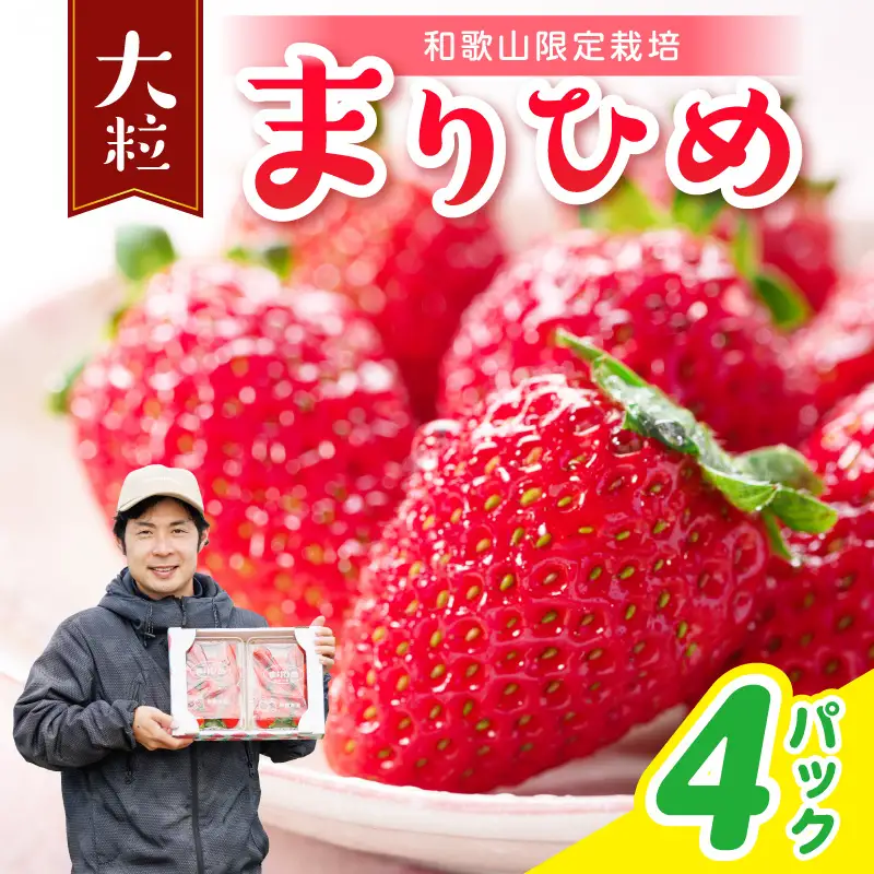 【1300】まりひめ4パック《先行予約》2027年1月～4月末まで順次発送予定【配送不可地域：北海道・青森・秋田・岩手・沖縄・離島】