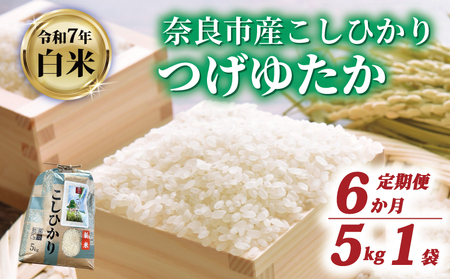 【定期便】コシヒカリ つげゆたか 5kg×6回　tge005