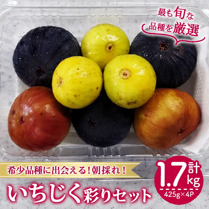 ＜先行予約！2026年8月下旬以降順次発送予定＞様々な品種のいちじく詰め合わせセット(約425g×4P・約1.7kg) 国産 フルーツ イチジク 小分け 食べ比べ 【man369】【はざま篠原農産合同会社】