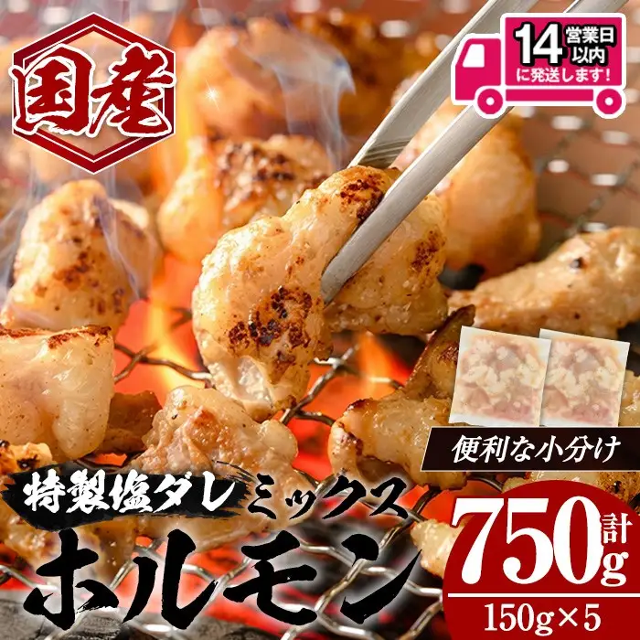 ＜14営業日以内発送！＞国産黒毛和牛ホルモンミックス 塩ダレ (計750g・150g×5)   国産 牛肉  ホルモン【肉のちょーさん】A1058