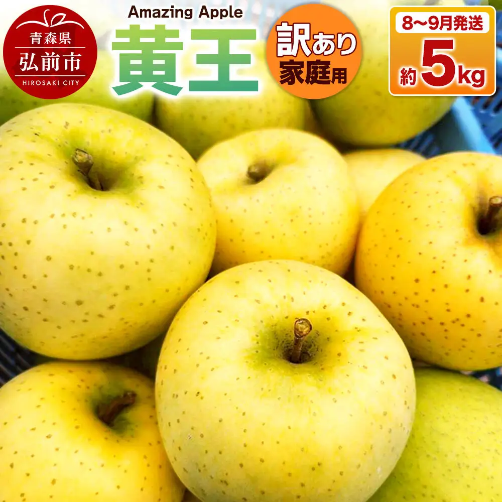 【26年8月下旬～9月発送】りんご 黄王【訳あり】家庭用 約5kg