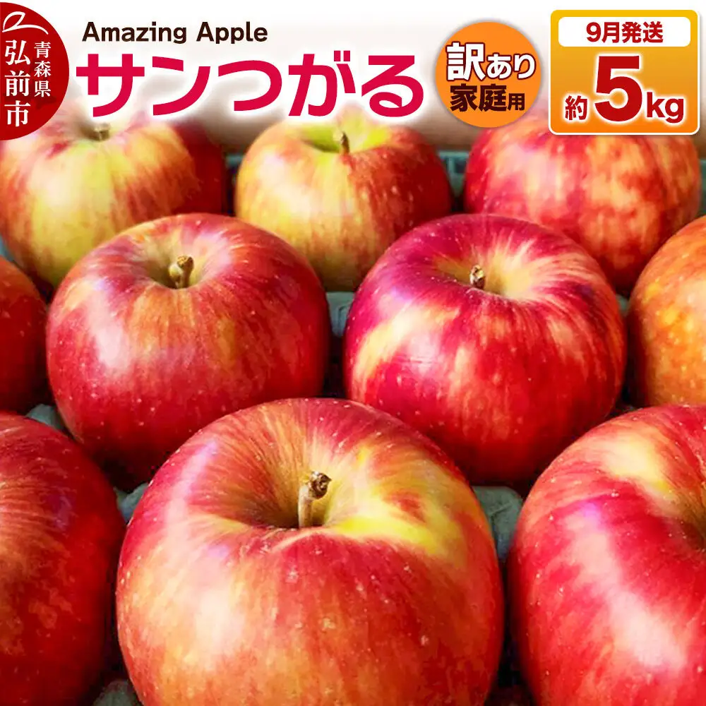 【26年9月発送】りんご サンつがる【訳あり】家庭用 約5kg