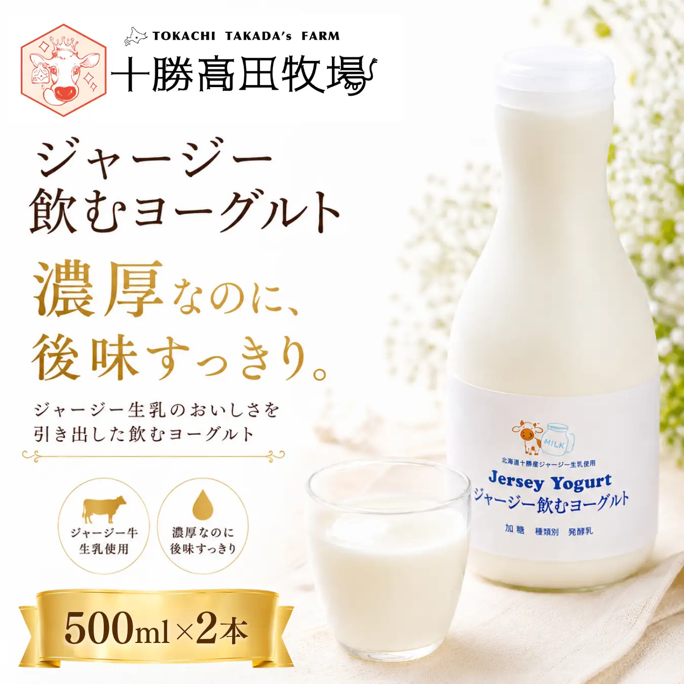 ジャージー飲むヨーグルト 500ml ×2 SKM022