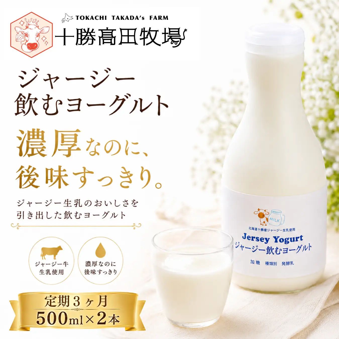【定期3ヶ月】ジャージー飲むヨーグルト 500ml ×2 SKM023