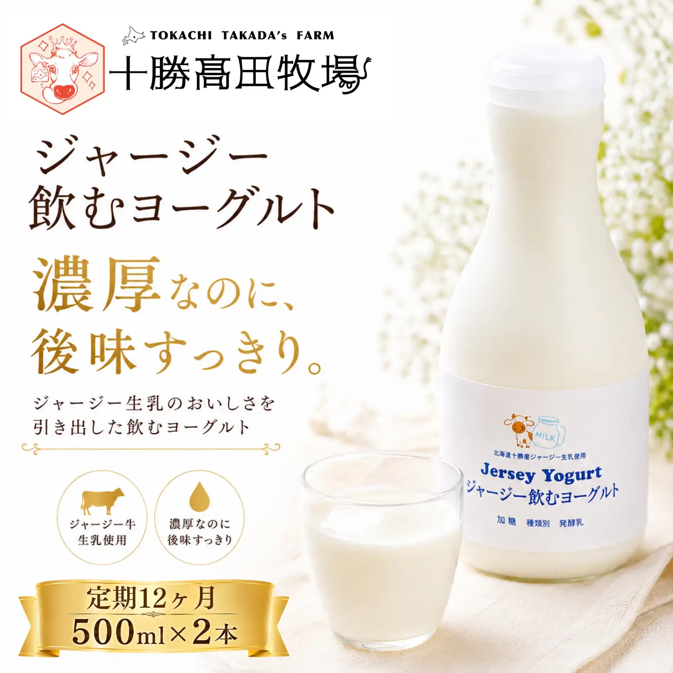 【定期12ヶ月】ジャージー飲むヨーグルト 500ml ×2 SKM025