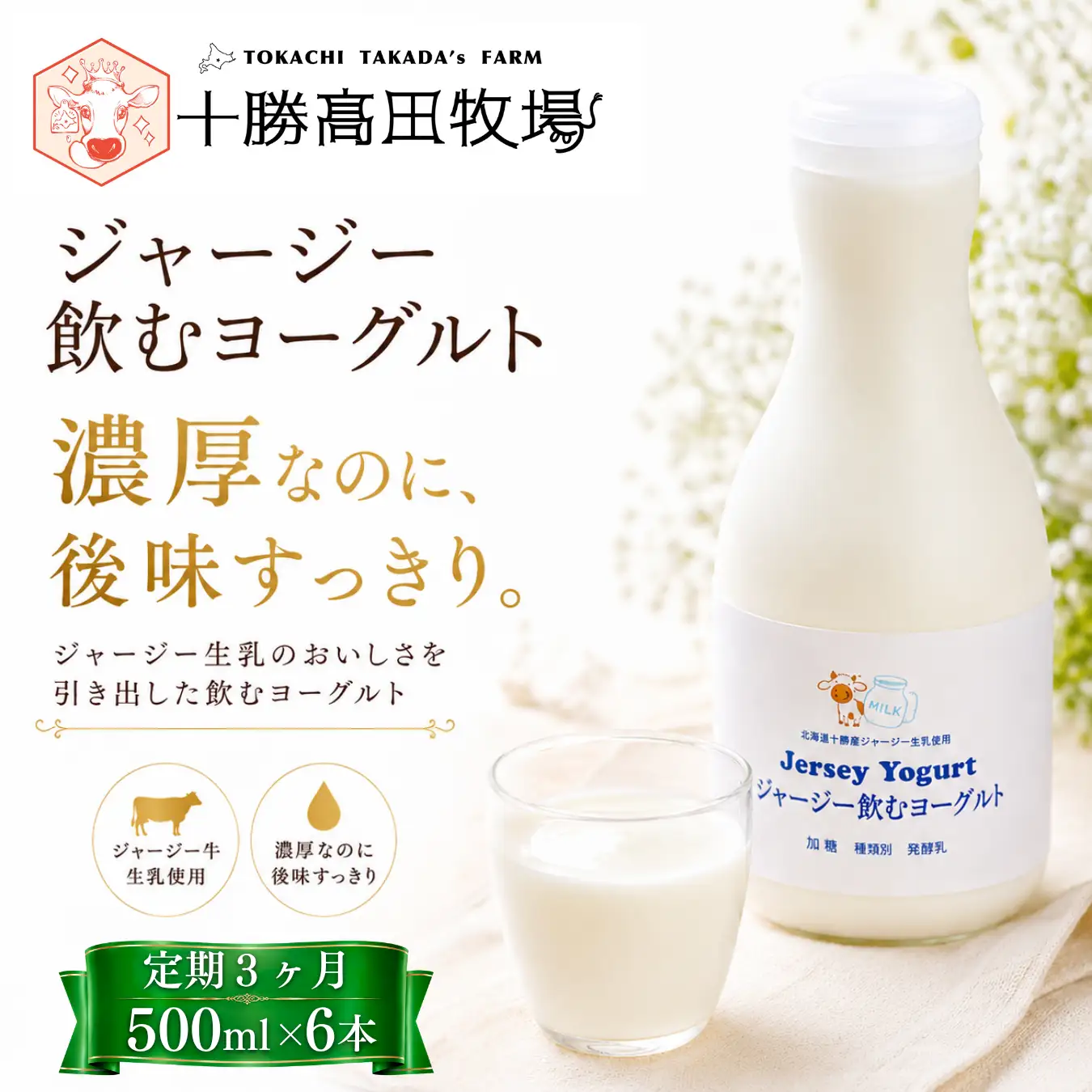 【定期3ヶ月】ジャージー飲むヨーグルト 500ml ×6 SKM031