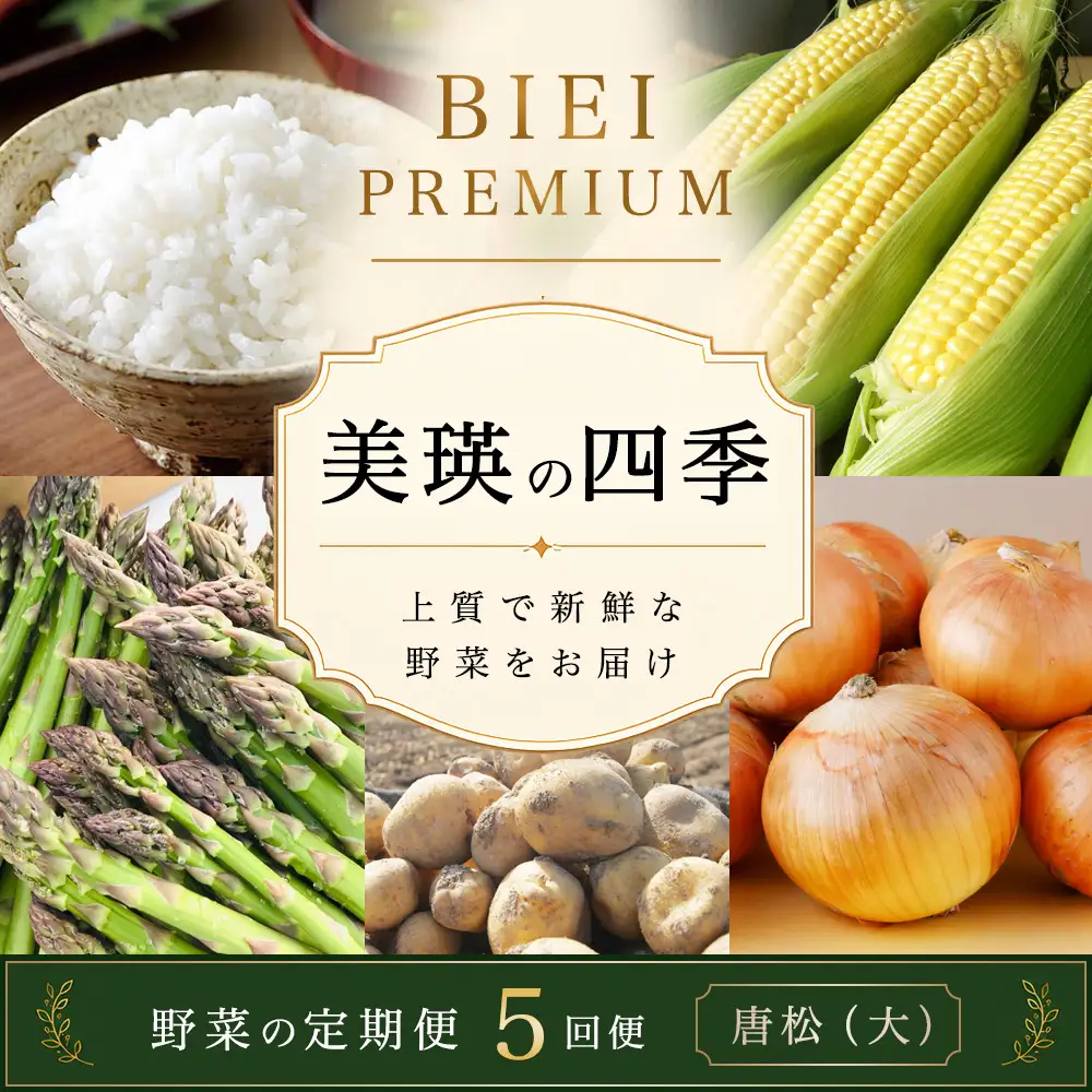 野菜セット 【令和9年産予約受付】 5回 定期便 美瑛の四季 唐松（大） 野菜詰め合わせ