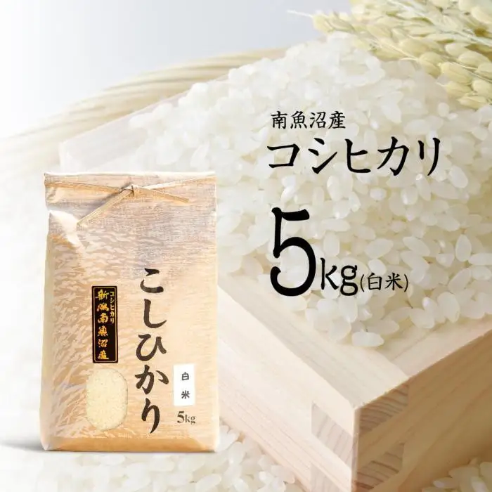 【令和7年】南魚沼産コシヒカリ 白米 5kg×1袋 5kg | 米