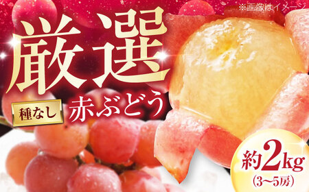 【先行予約】厳選赤ぶどう（種無し） 約2kg 3-5房入 BKAD038 ぶどう