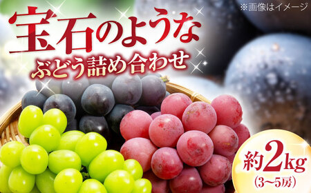 【先行予約】厳選ぶどう詰め合わせ（種無し） 約2kg 3-5房入 BKAD041 ぶどう