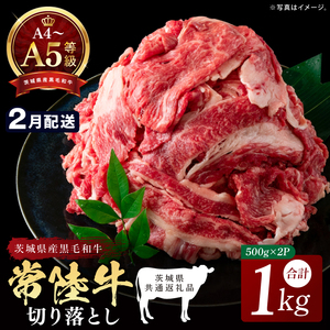 【茨城県共通返礼品】【2027年2月発送予定】最高級A4.A5ランク 常陸牛 切り落し 1kg（約500ｇ×2）【人気肉 お肉 牛肉 和牛 黒毛和牛 国産黒毛和牛 モモ 肩 切り落とし 国産牛 A5 A4 すき焼き 牛丼 ブランド牛】(CR106-2)