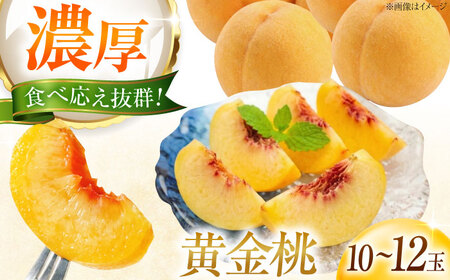【先行予約】 黄金桃 10-12玉入り BKAD080 桃