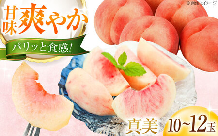 【先行予約】真美桃 10-12玉入り BKAD086 桃
