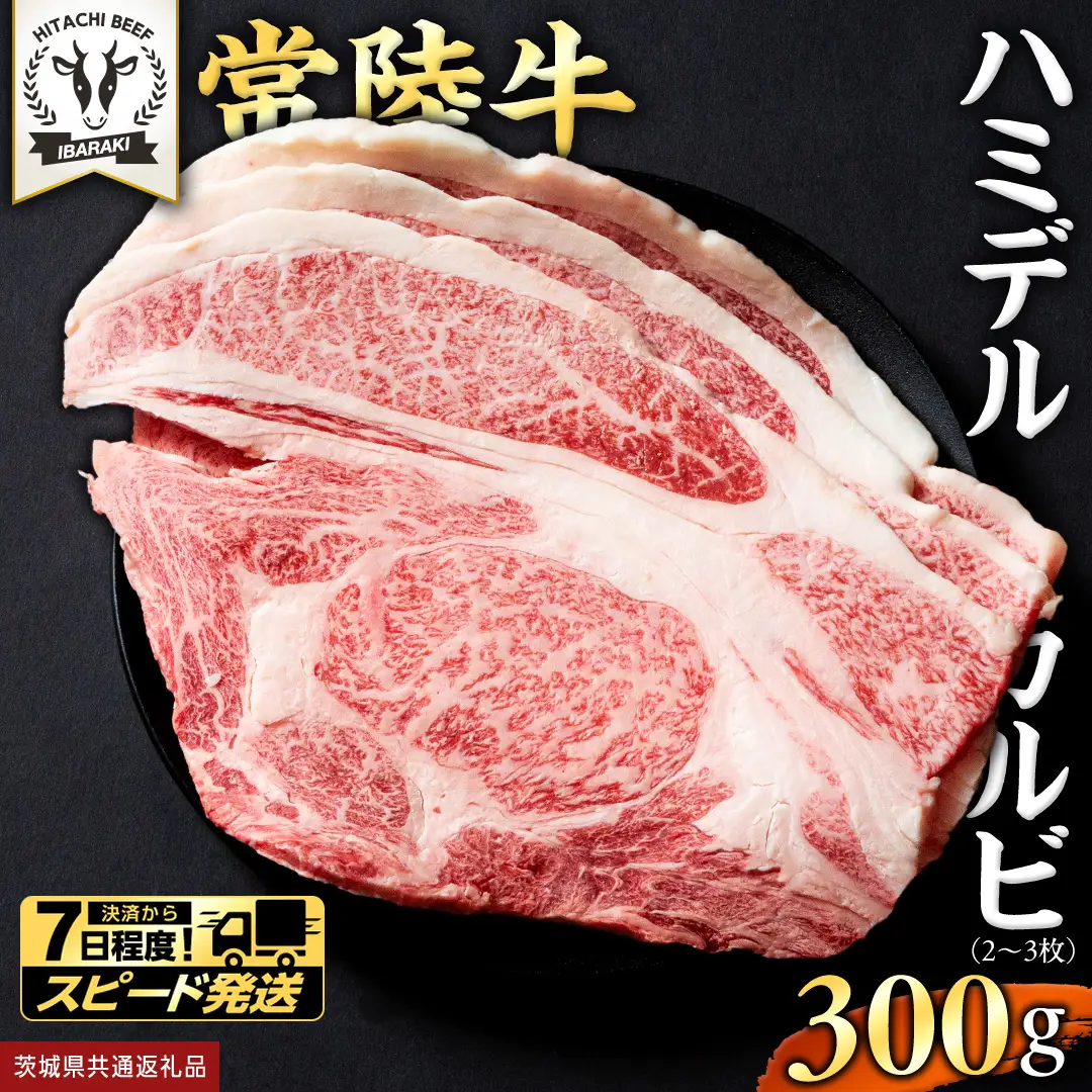 【 スピード発送 】【 常陸牛 】A5 等級 ハミデルカルビ 300g (2～3枚) (茨城県共通返礼品) 牛肉 サーロイン 焼肉 国産