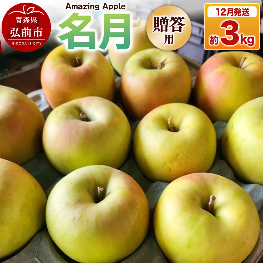 【26年12月発送】りんご 名月【贈答用】約3kg