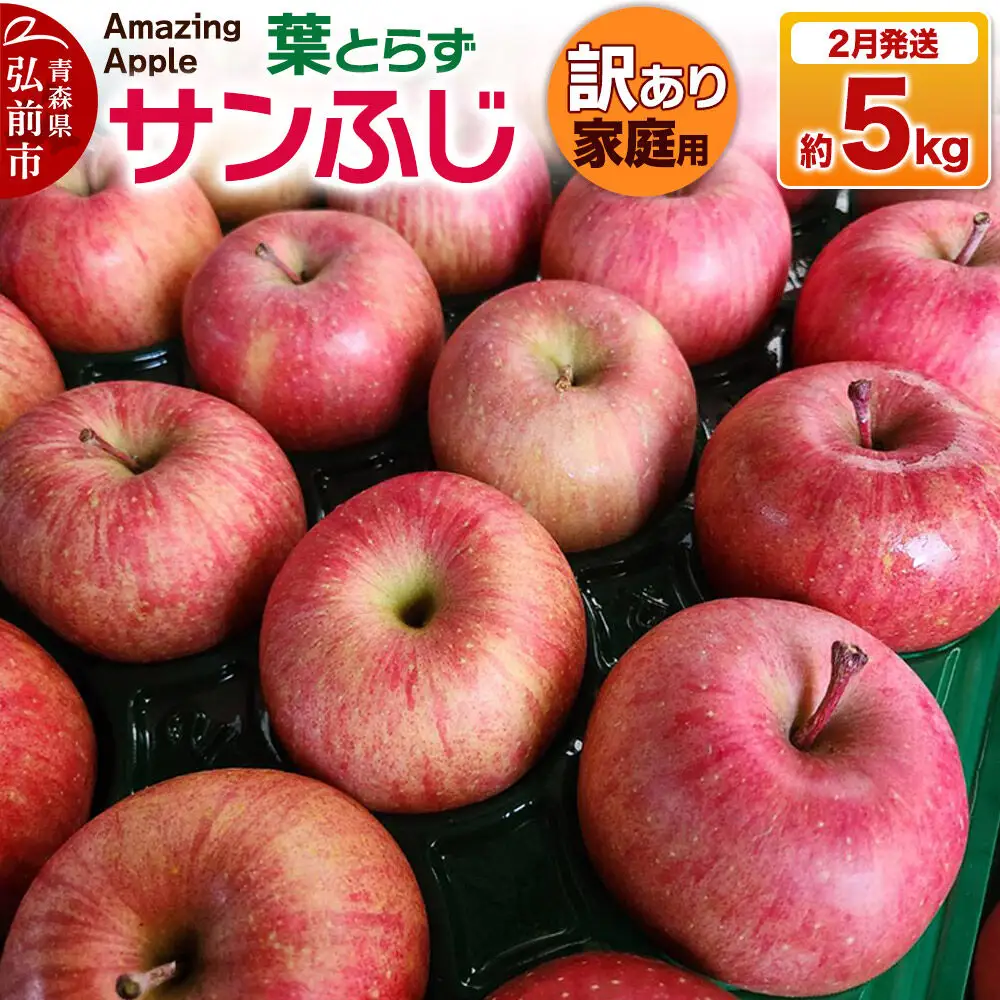 【27年2月発送】りんご 葉とらずサンふじ【訳あり】家庭用 約5kg