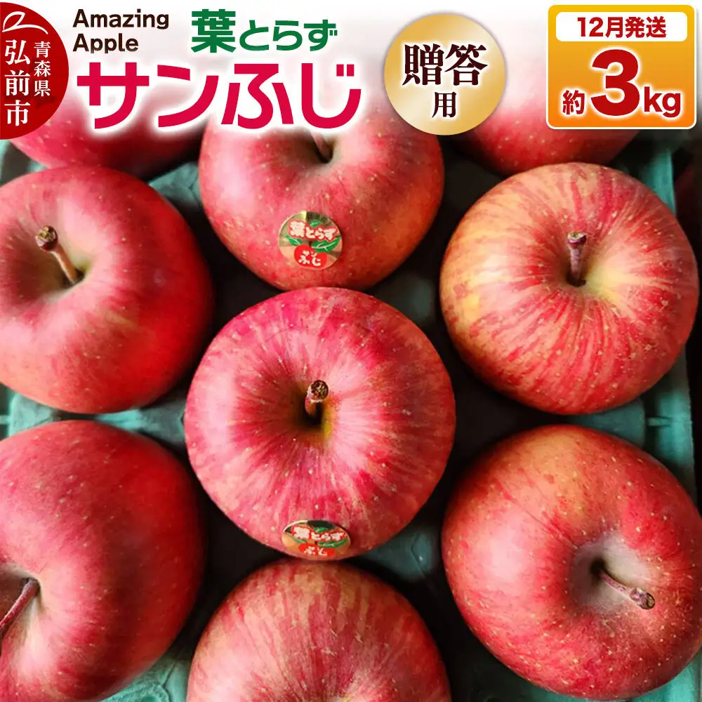 りんご 葉とらずサンふじ 贈答用 約3kg【12月発送】りんご