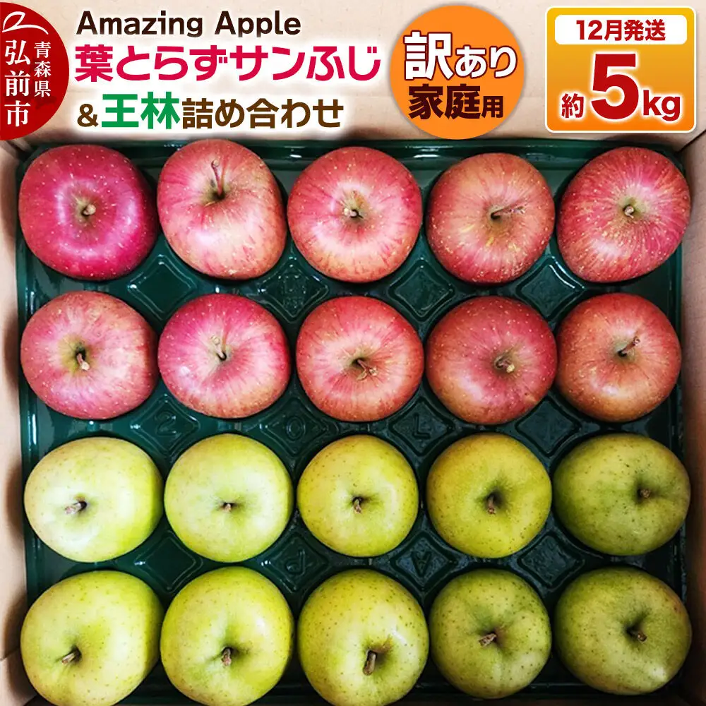 【26年12月発送】りんご 葉とらずサンふじ＆王林 詰め合わせ【訳あり】家庭用 約5kg