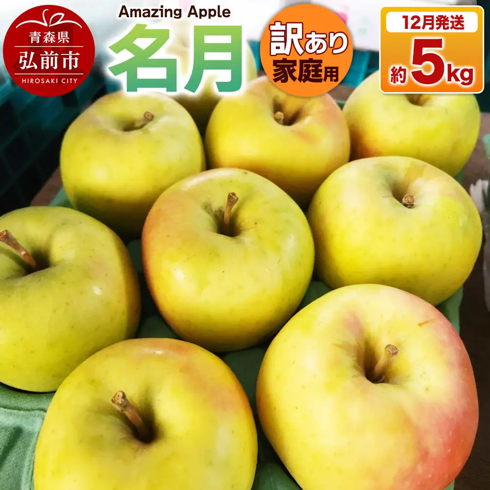 【26年12月発送】りんご 名月【訳あり】家庭用 約5kg