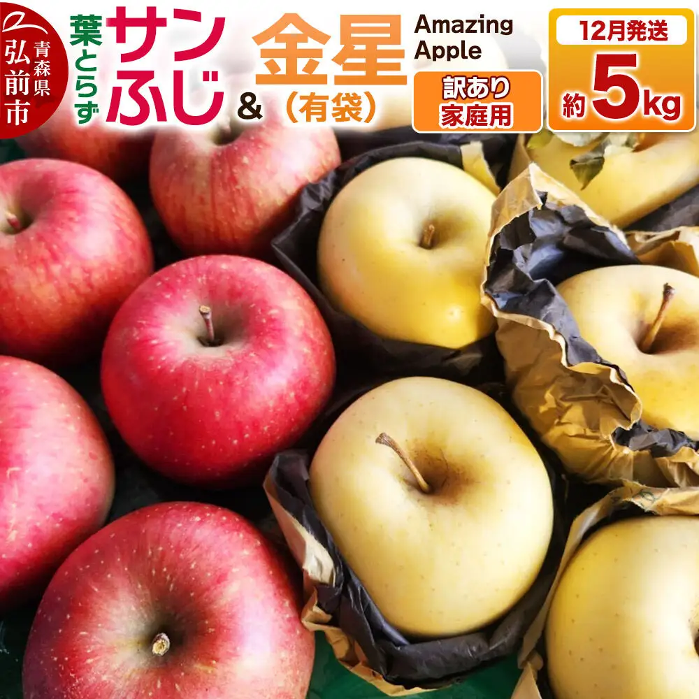 【26年12月発送】りんご 葉取らずサンふじ＆金星（有袋）【訳あり】家庭用 約5kg 紅白セット