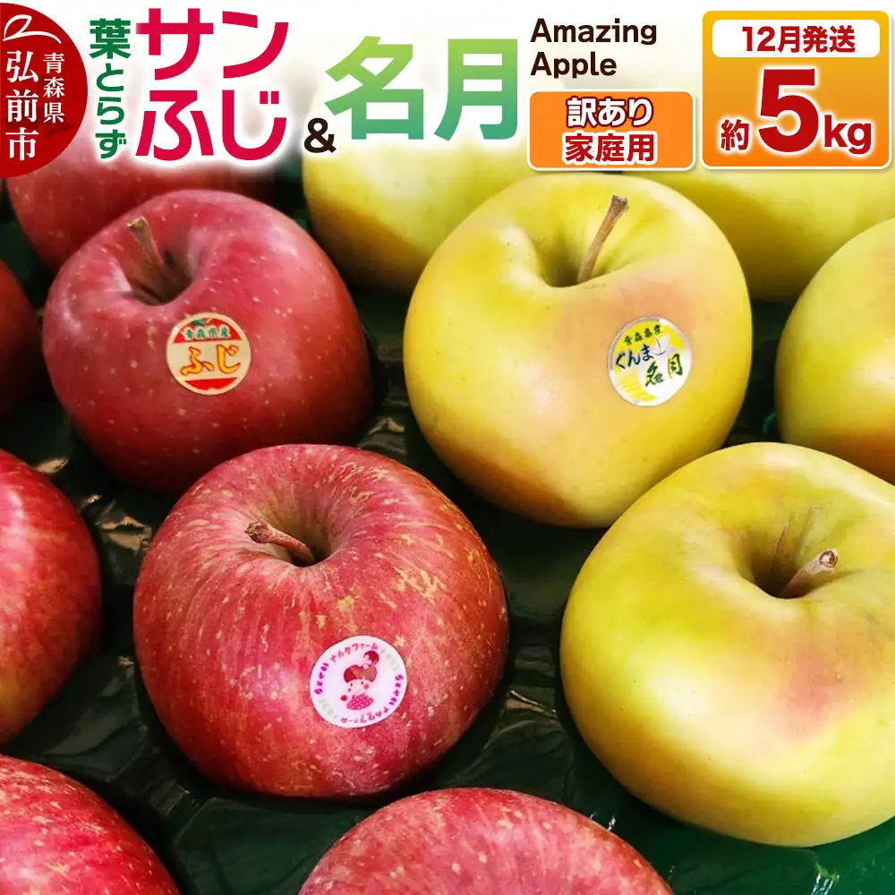 【26年12月発送】りんご 葉取らずサンふじ＆名月 詰め合わせ【訳あり】家庭用 約5kg