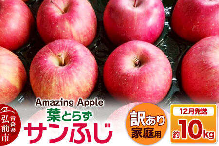 りんご 葉とらずサンふじ 訳あり 約10kg【12月発送】りんご