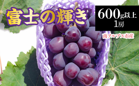 【2026年発送先行予約】南アルプス市産　富士の輝き1房(600g以上) ALPDD021