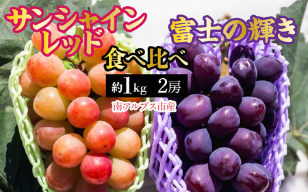 【2026年発送先行予約】南アルプス市産　サンシャインレッド × 富士の輝き 食べ比べセット　約1.0kg（2房） ALPDD023