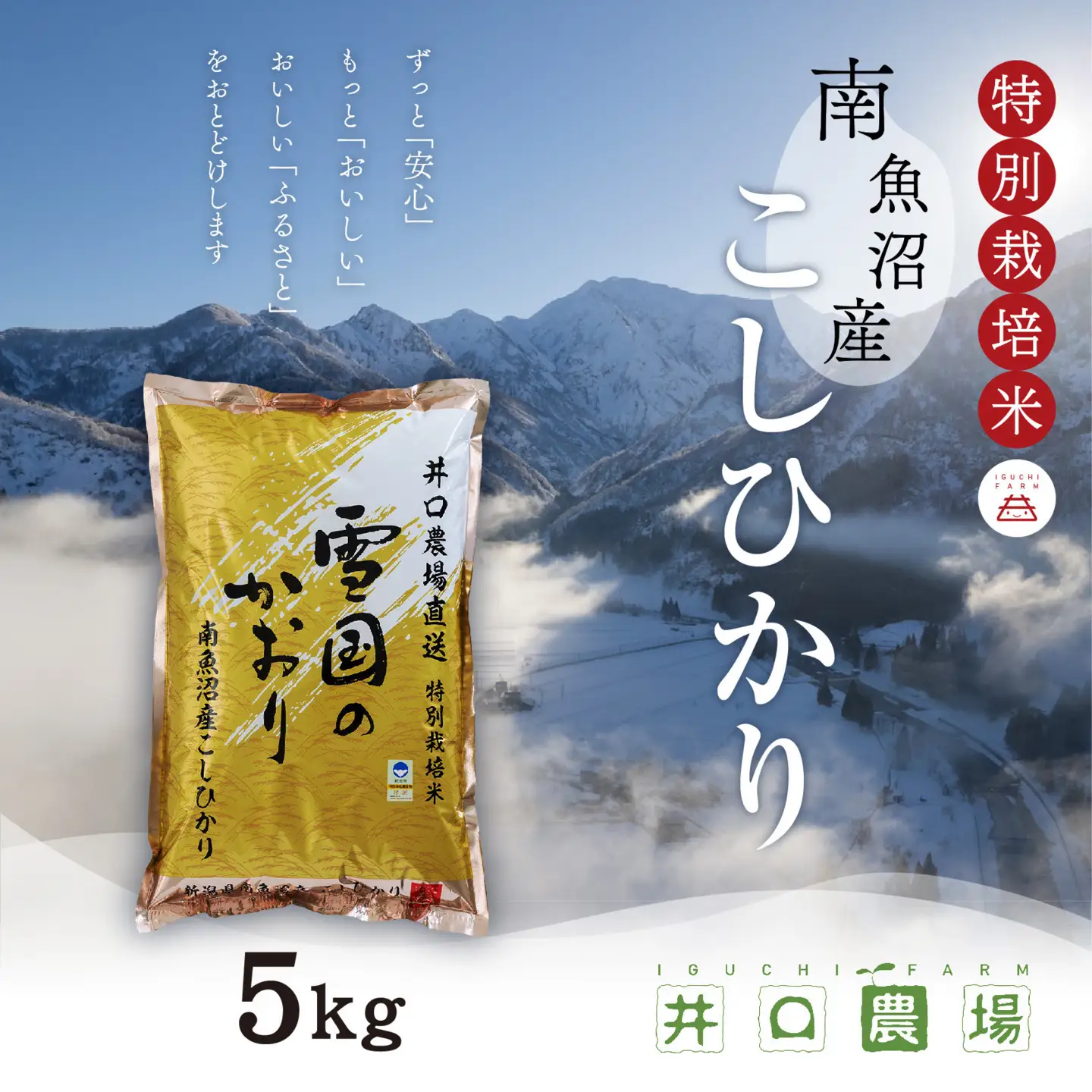 【令和7年】南魚沼産コシヒカリ 5kg  井口農場こだわりの 特別栽培米｜コシヒカリ