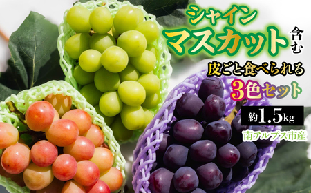 【2026年発送先行予約】南アルプス市産　シャインマスカット含む 皮ごと食べられる3色ぶどうセット　約1.5kg ALPDD024