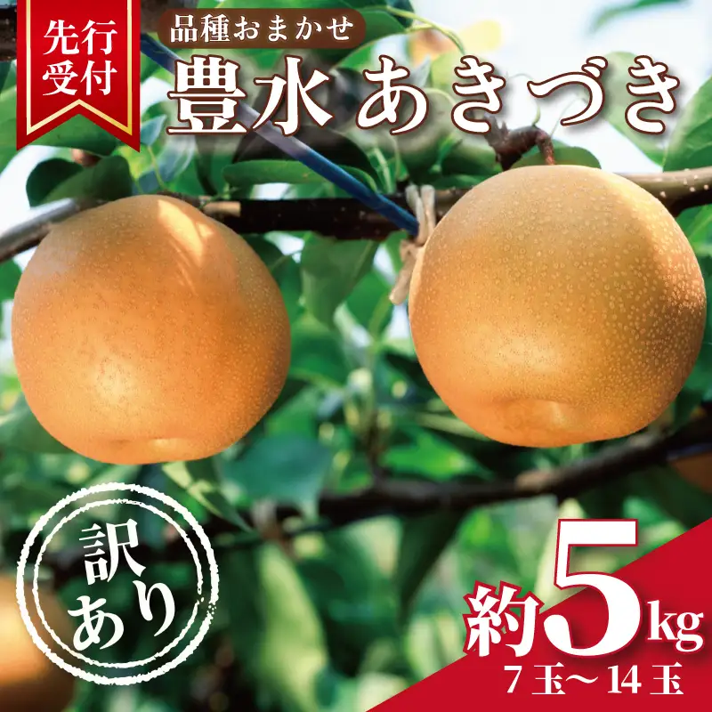 【2026年発送】 訳あり梨 品種おまかせ梨 約5kg